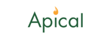 Apical