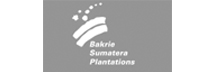 Bakrie Sumatera Plantations Tbk