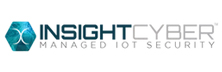 Insight Cyber Group, Inc 
