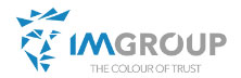 Imgroup : Creating Areas of Excellence for Global Value Delivery