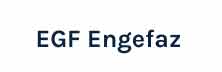 EGF Engefaz