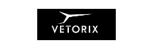 Vetorix Engineering