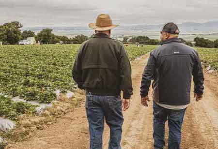The Challenges to Selling Fresh Berries around the World